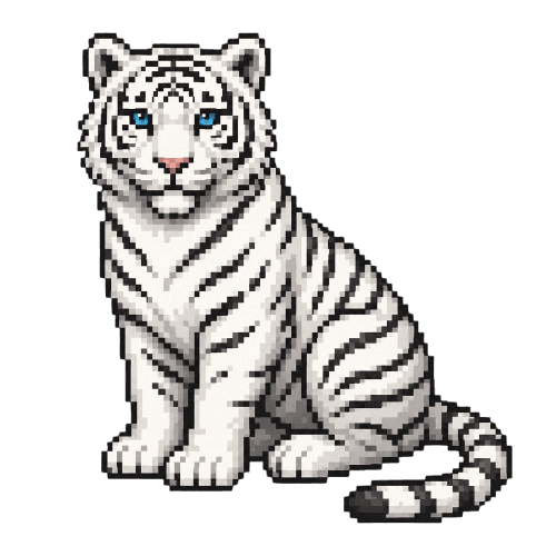 A rare white tiger